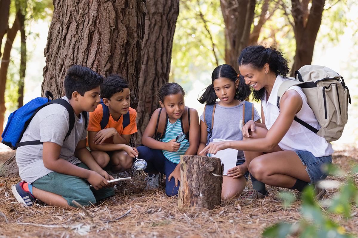 Experienced Teachers Guide Summer Activities